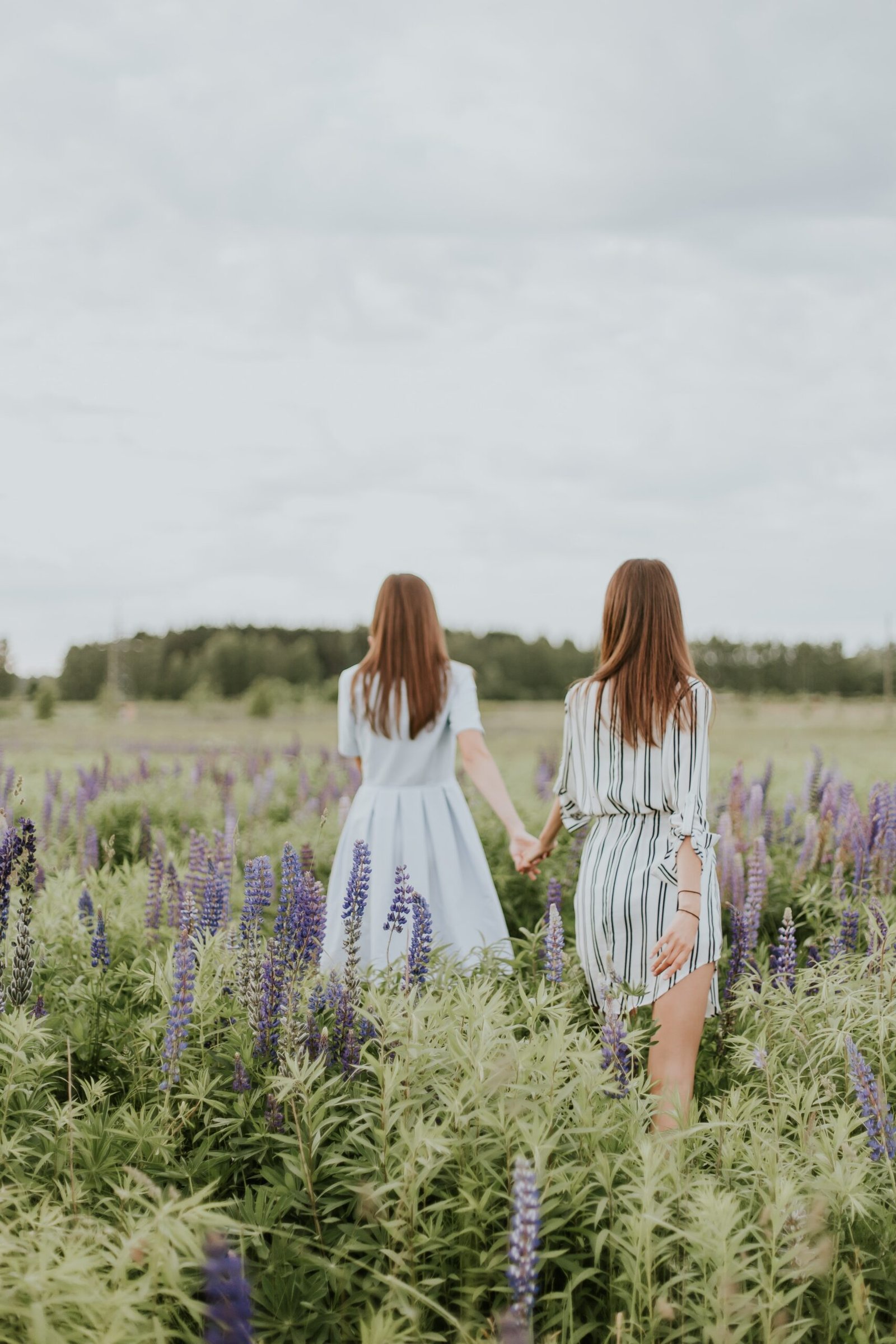 two women surrounded by lavender under nimbus clouds